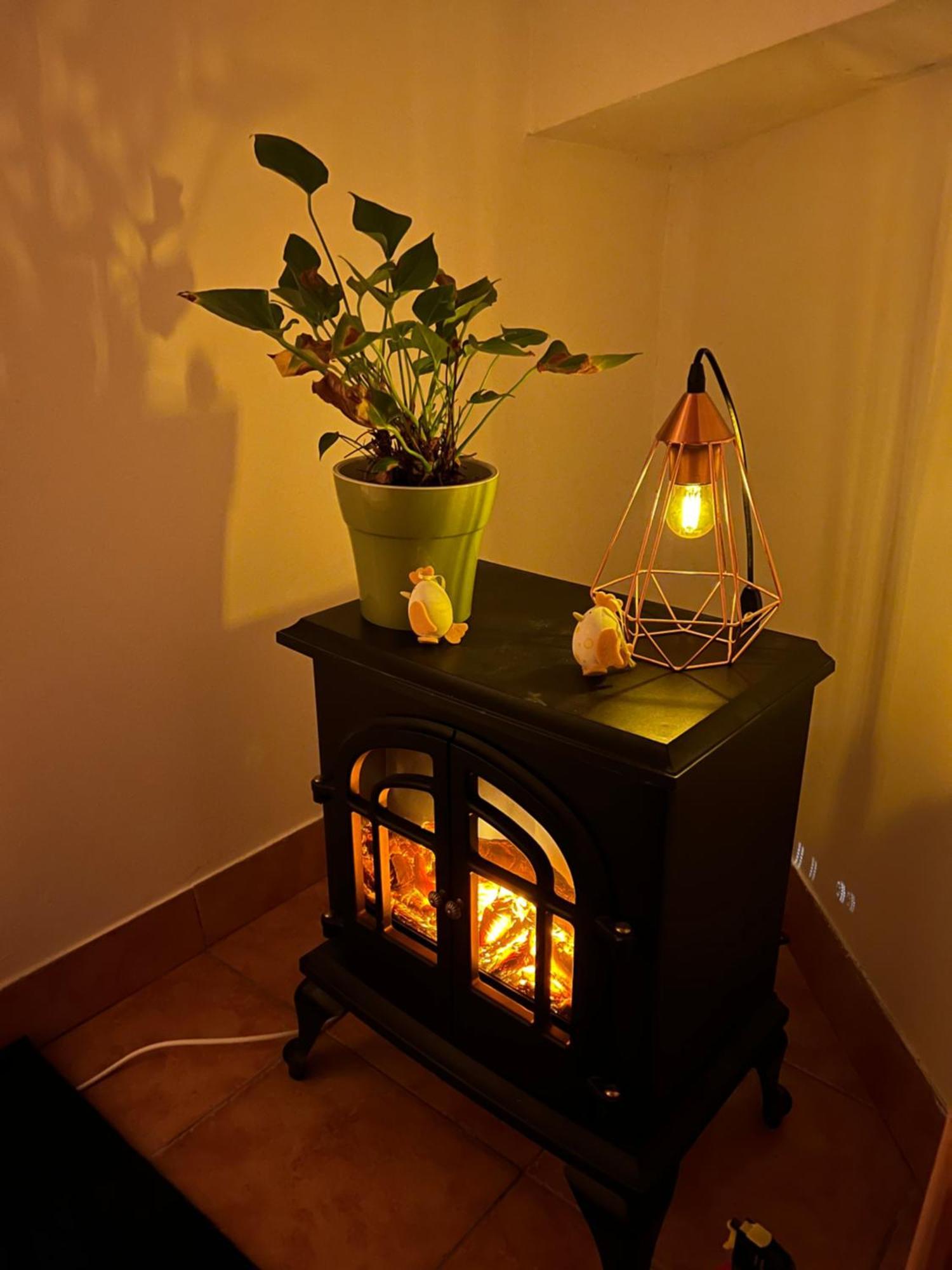 Old Vintage Villa 브라쇼브 외부 사진