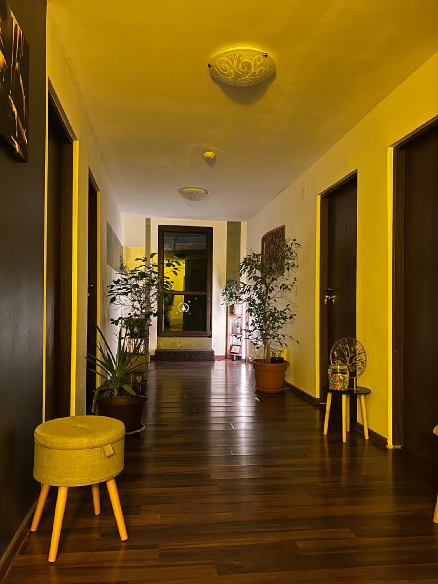 Old Vintage Villa 브라쇼브 외부 사진