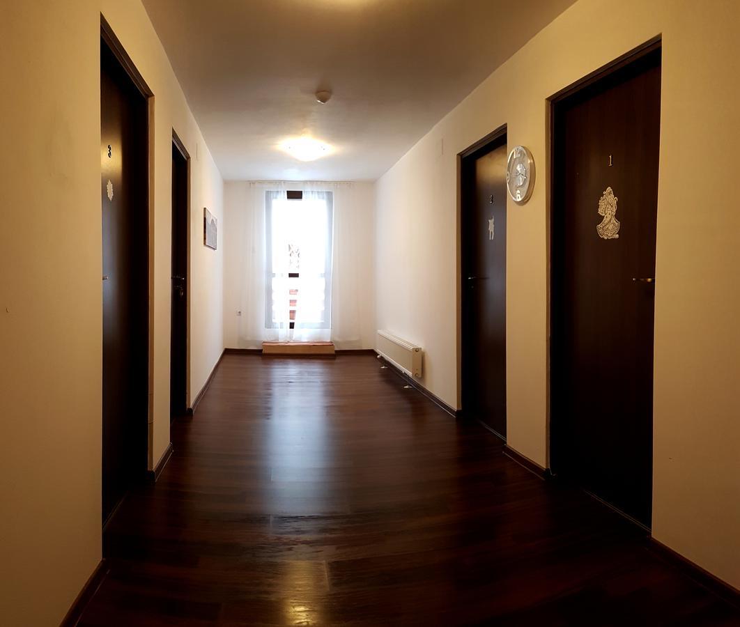 Old Vintage Villa 브라쇼브 외부 사진